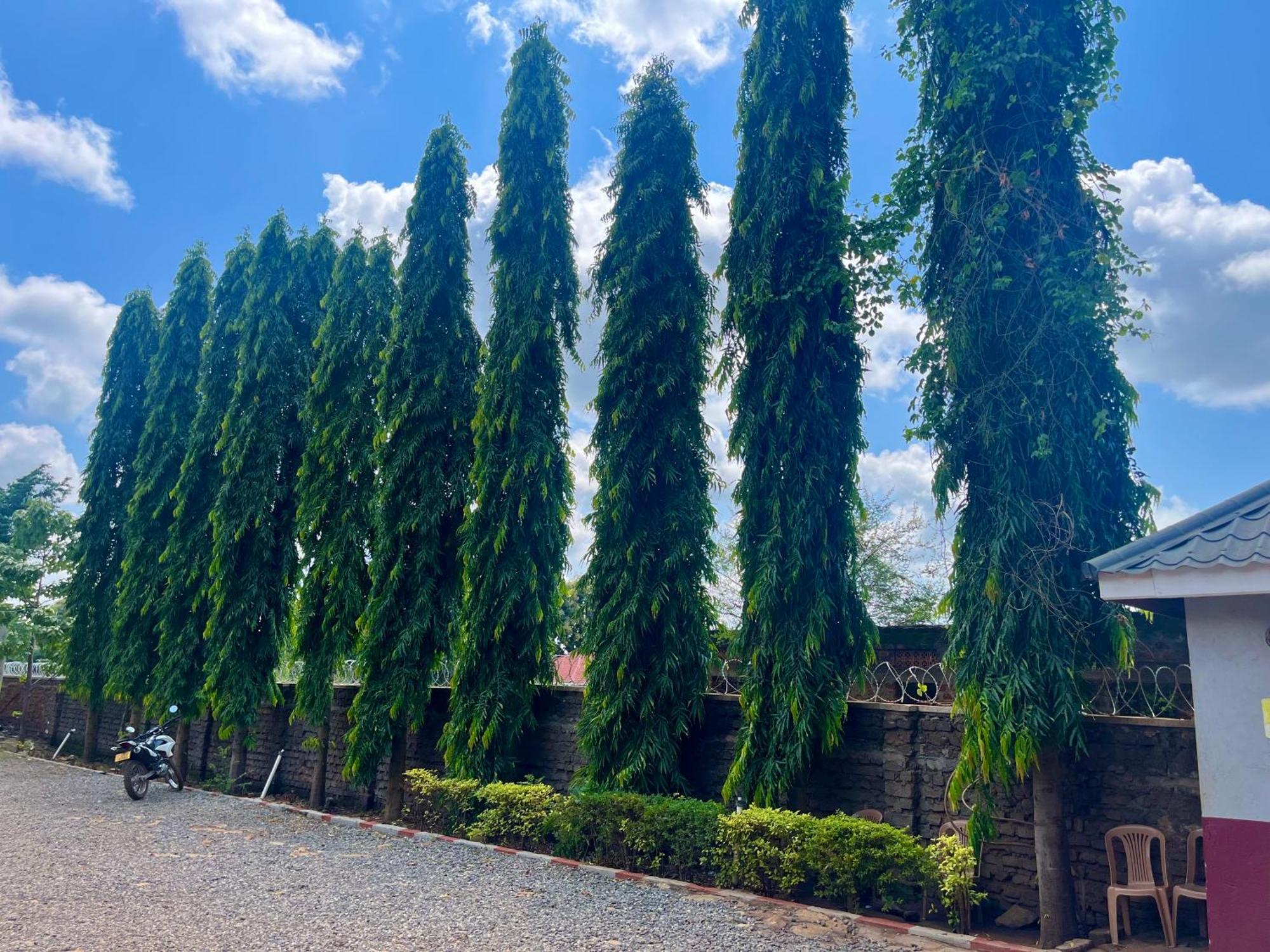 Lavic Country Resort Adjumani Exterior photo